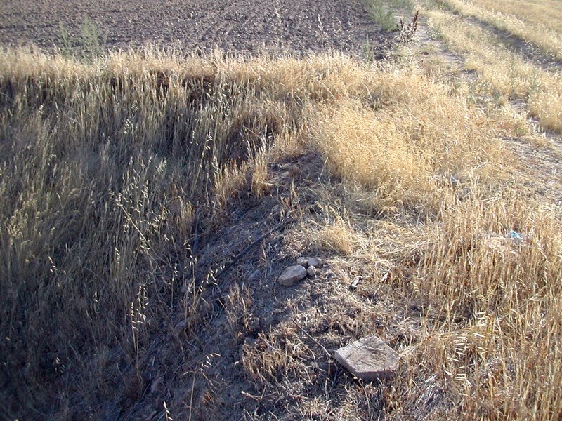 restos de la Ermita del Carrascal